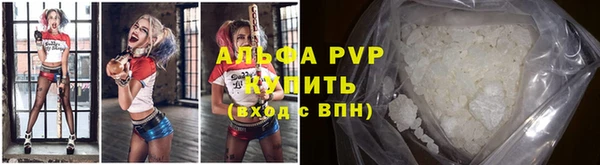 сатива Белоозёрский