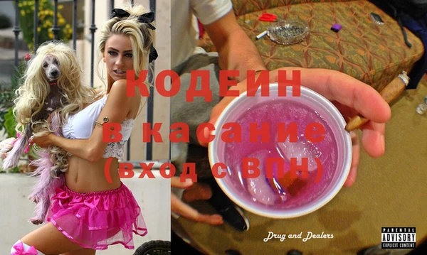 бошки Белокуриха