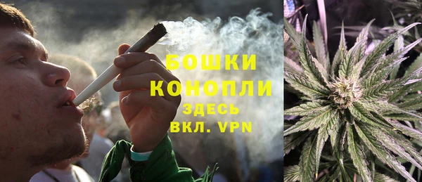 бошки Белокуриха