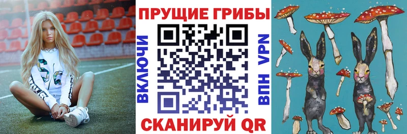 Псилоцибиновые грибы мухоморы купить наркотик Биробиджан